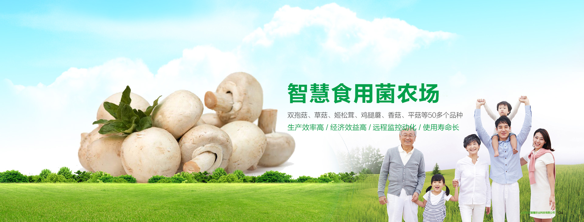濟寧正邦表面處理劑有限公司